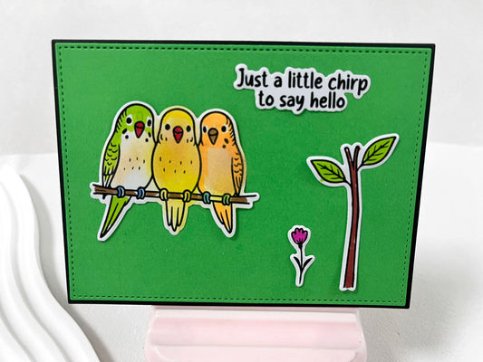 Budgerigar Bird Clear Stamp & Die Set – 4x6 Inches